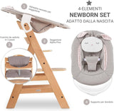 Hauck Seggiolone evelotivo Alpha+ con Sdraietta