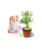 Cactus Ballerino