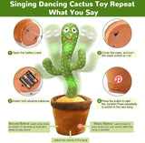 Cactus Ballerino