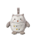 Tommee Tippee Gufo Luminoso E Sonoro