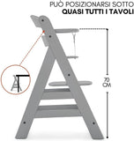 Hauck Seggiolone Evolutivo Alpha+