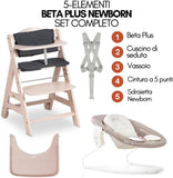 Hauck Seggiolone evolutivo Beta plus 