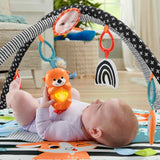 Fisher-Price - Palestrina Musicale 3 in 1 per Neonati