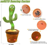 Cactus Ballerino